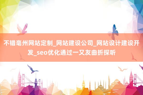 不错毫州网站定制_网站建设公司_网站设计建设开发_seo优化通过一又友曲折探听