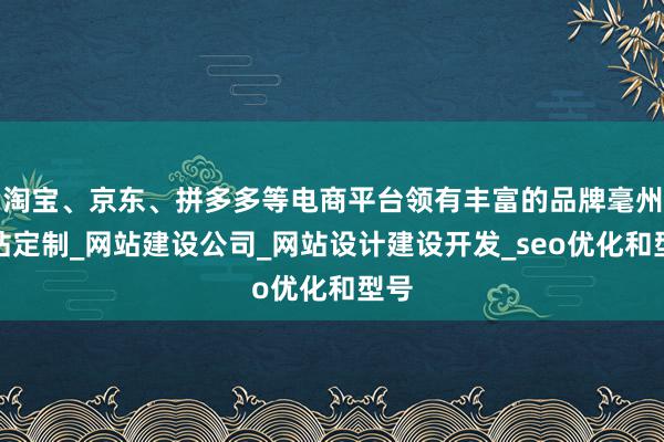 淘宝、京东、拼多多等电商平台领有丰富的品牌毫州网站定制_网站建设公司_网站设计建设开发_seo优化和型号