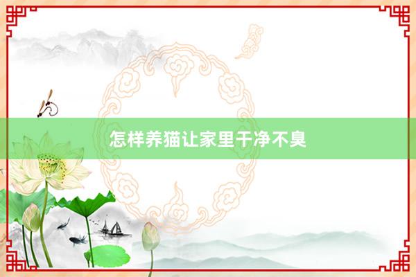 怎样养猫让家里干净不臭