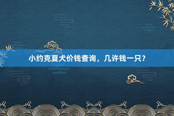 小约克夏犬价钱查询，几许钱一只？