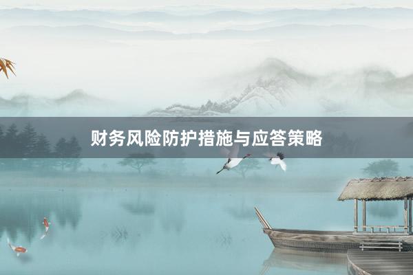 财务风险防护措施与应答策略